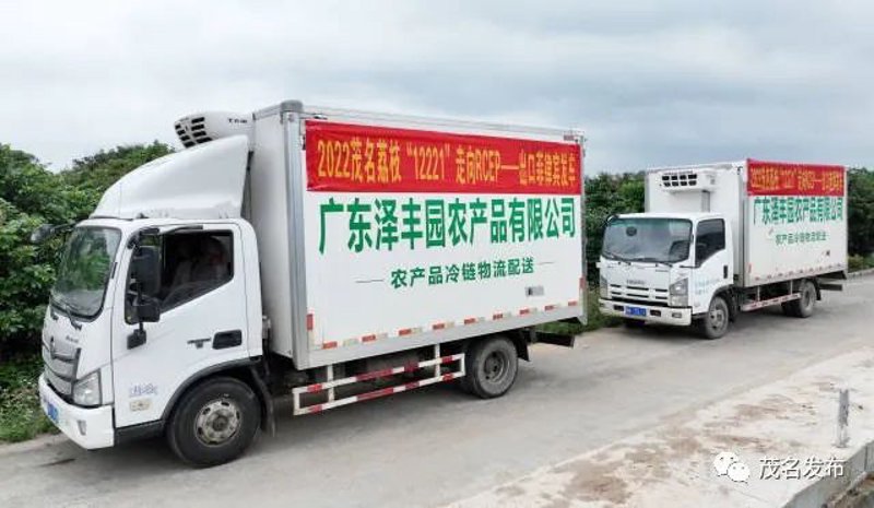 我国农产品有限公司的经营范围广阔，涵盖了从田间到餐桌的各个环节。一、种植与养殖