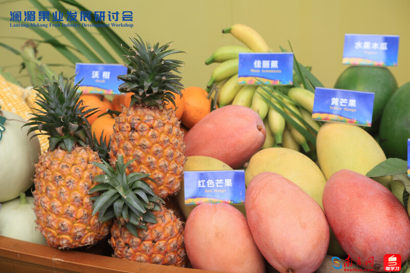 广东农产品贸易