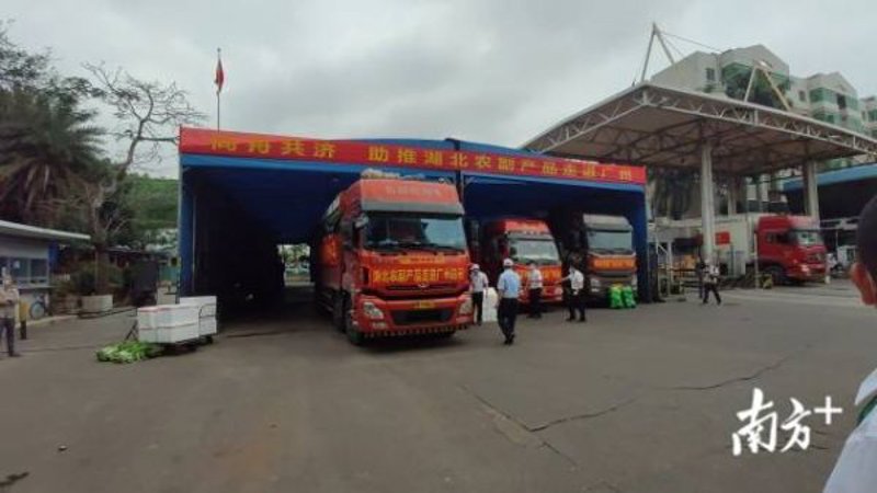 广东农产品批发