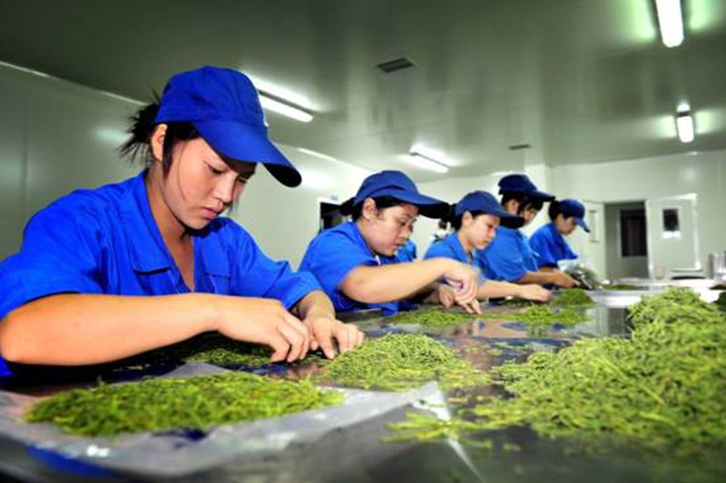 在当今的农产品交易市场，“广东农产品交易网”逐渐成为行业内的佼佼者。本文将通过对比分析的方式，探讨其与同类网站的不同之处。