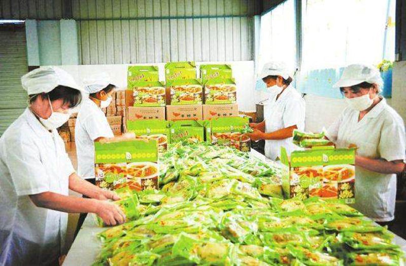 实战攻略：如何选择可靠的食用农产品供应商